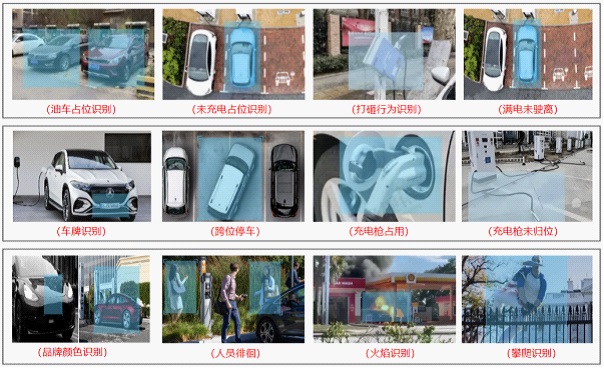 8868体育官网首页入口